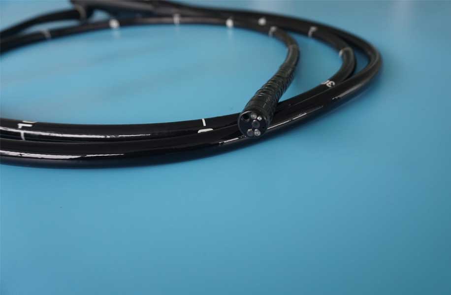 Manual Cleaning Flexible Endoscopes
