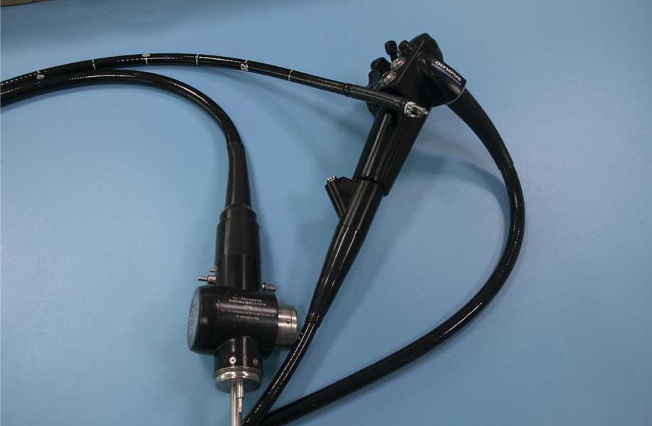 Flexible Endoscope