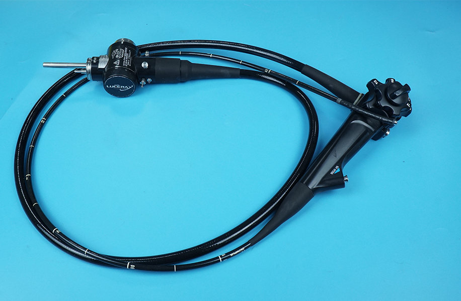 Flexible Endoscope Market
