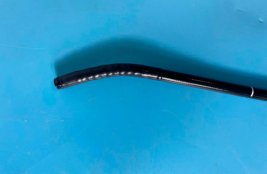 flexible endoscope price