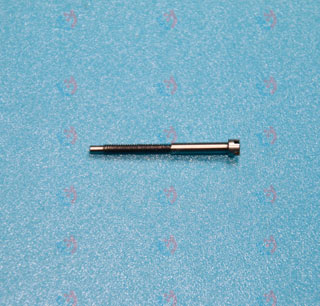 Screw (Adjusting Screw)