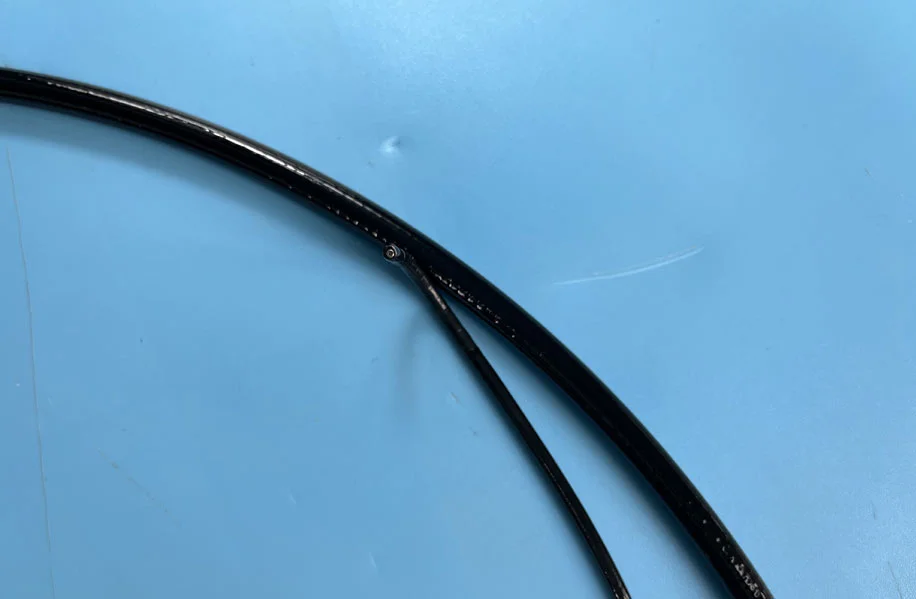 flex endoscope