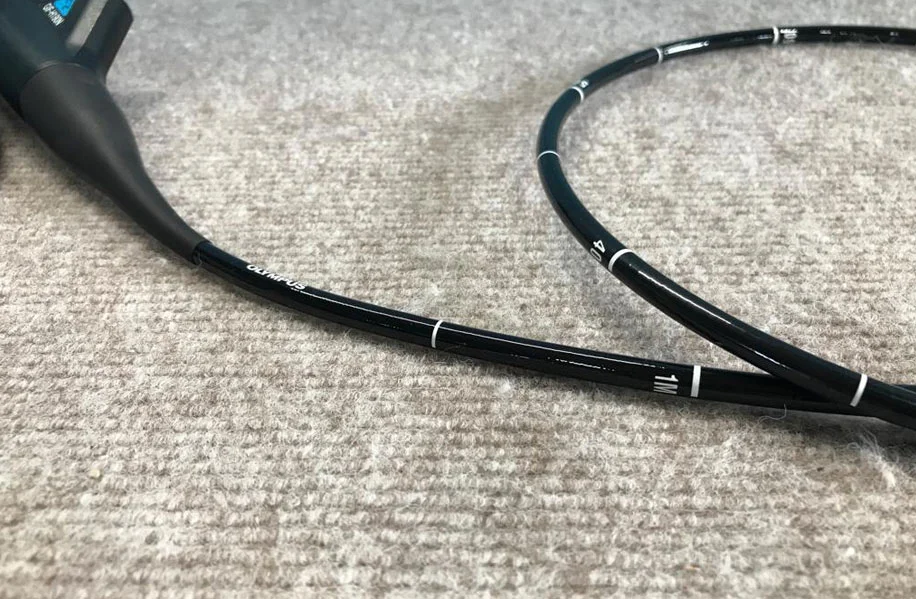 flexible endoscope