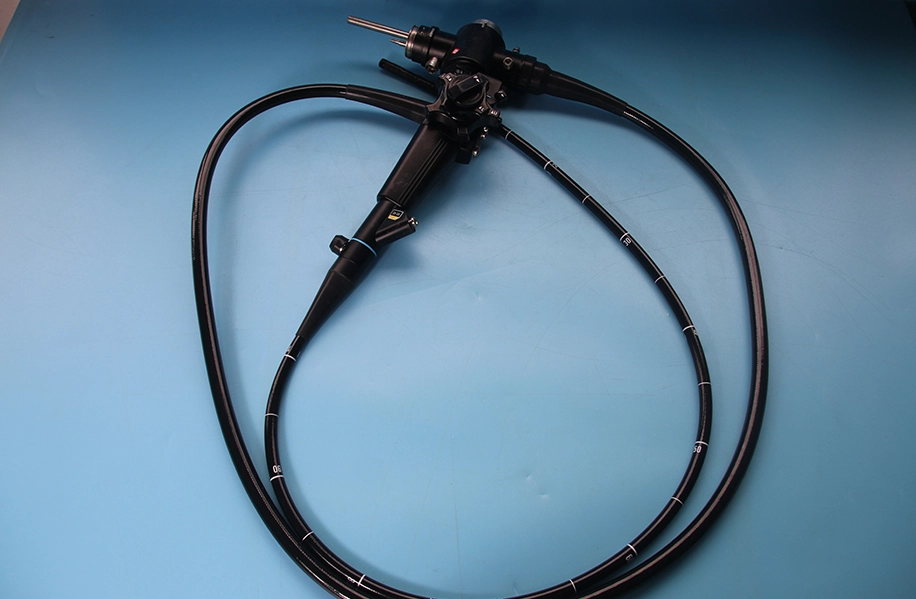 bending section endoscope